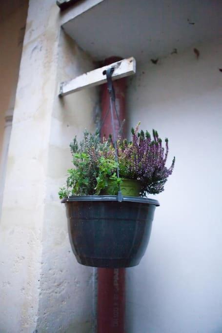 Charming Studio In A Courtyard In Paris Eksteriør billede